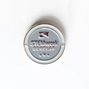 DS STEMwork